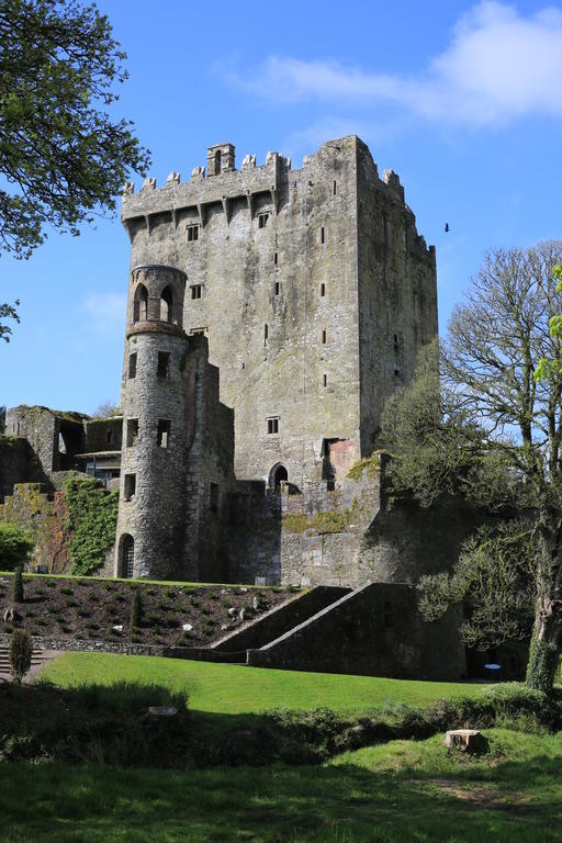 The White House B&B Cork Luaran gambar
